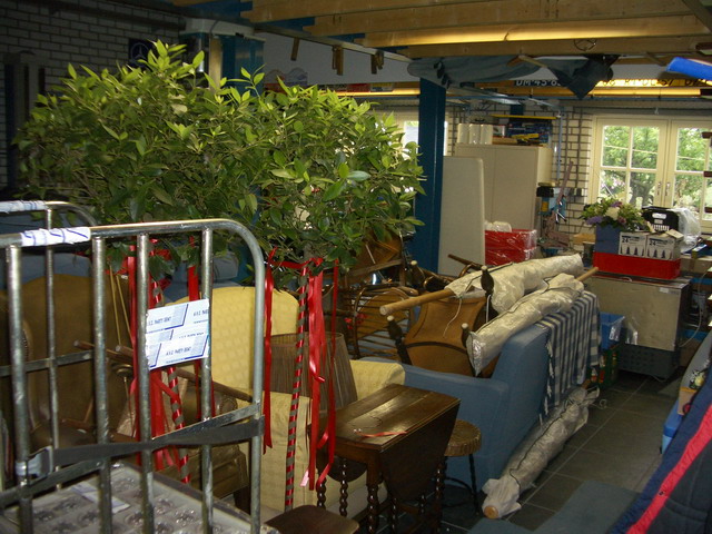 IMGP1139 Formaat wijzigen